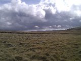 IMAG0019