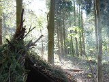 dsc00381