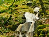 mypictures0010